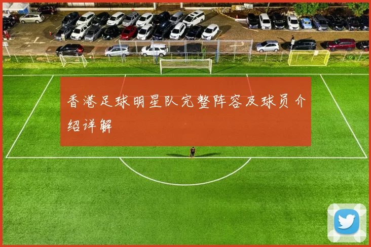 香港足球明星队完整阵容及球员介绍详解