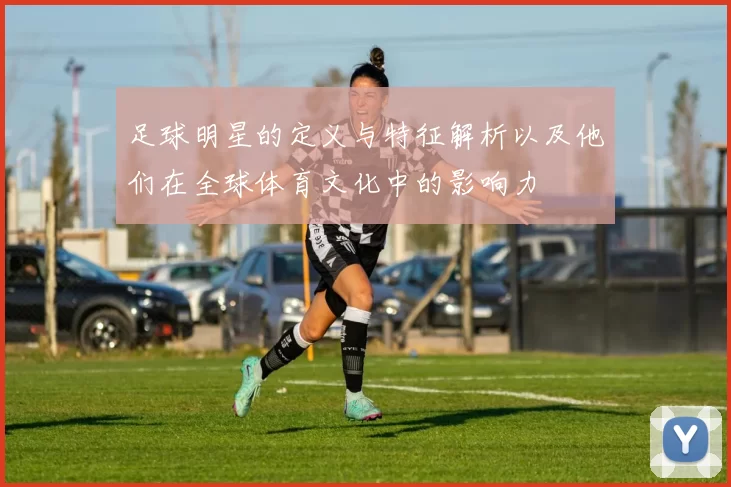 足球明星的定义与特征解析以及他们在全球体育文化中的影响力