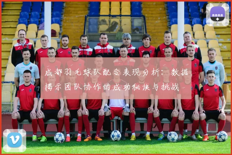 成都羽毛球队配合表现分析：数据揭示团队协作的成功秘诀与挑战