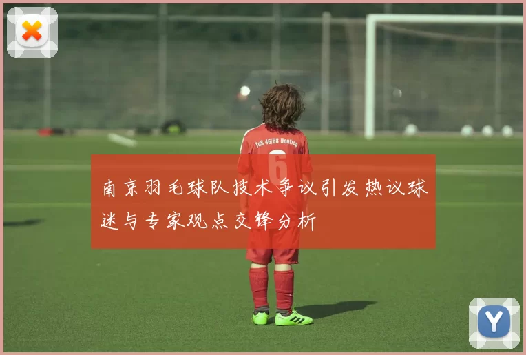 南京羽毛球队技术争议引发热议球迷与专家观点交锋分析