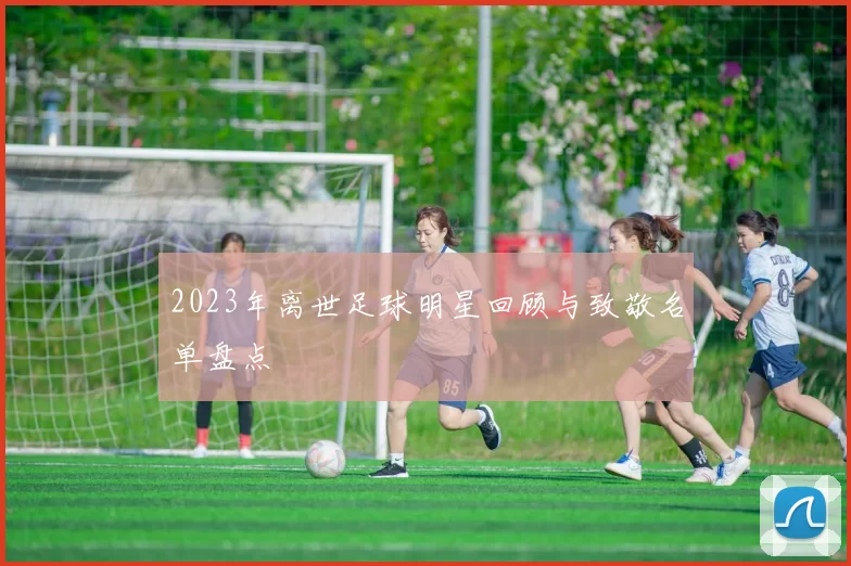 2023年离世足球明星回顾与致敬名单盘点