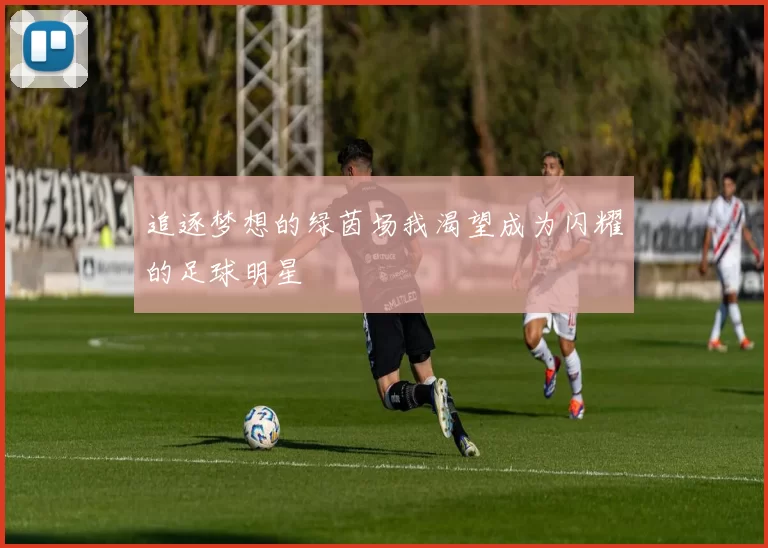 追逐梦想的绿茵场我渴望成为闪耀的足球明星