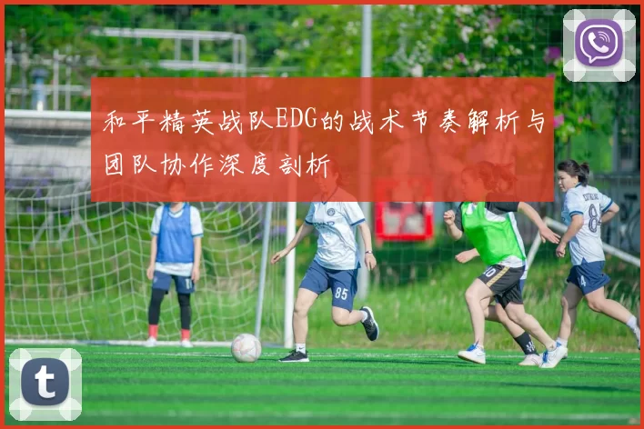 和平精英战队EDG的战术节奏解析与团队协作深度剖析