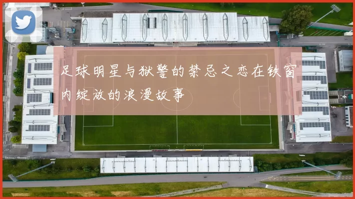 足球明星与狱警的禁忌之恋在铁窗内绽放的浪漫故事