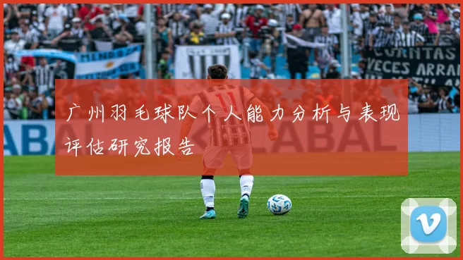 广州羽毛球队个人能力分析与表现评估研究报告