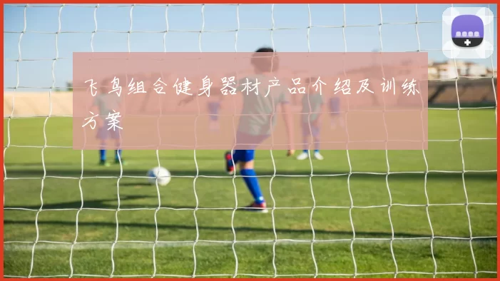 飞鸟组合健身器材产品介绍及训练方案