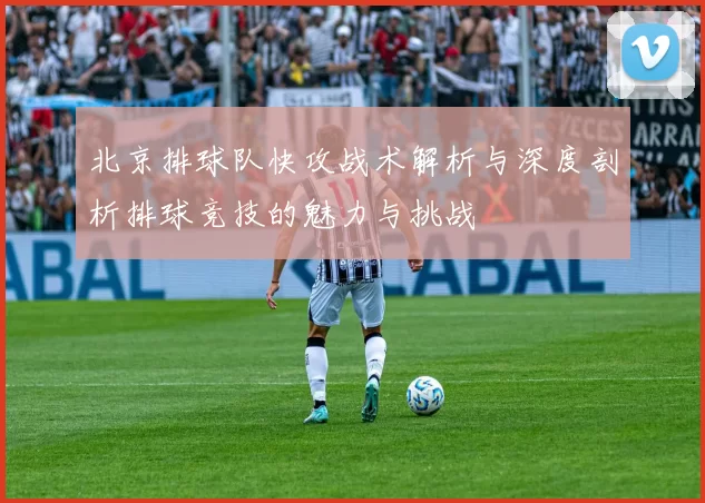 北京排球队快攻战术解析与深度剖析排球竞技的魅力与挑战