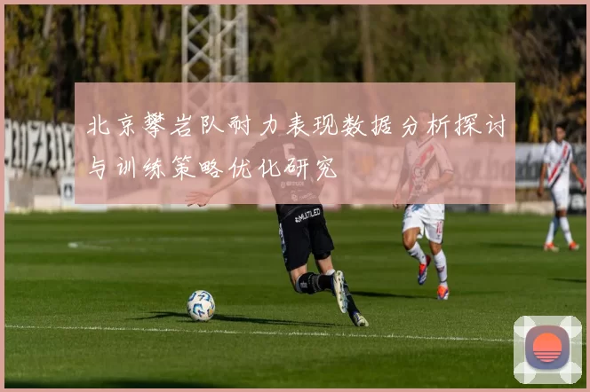 北京攀岩队耐力表现数据分析探讨与训练策略优化研究
