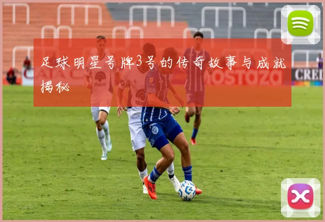 足球明星号牌3号的传奇故事与成就揭秘