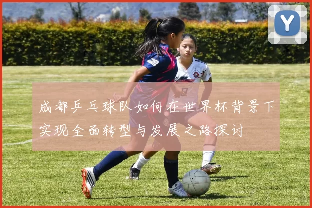 成都乒乓球队如何在世界杯背景下实现全面转型与发展之路探讨
