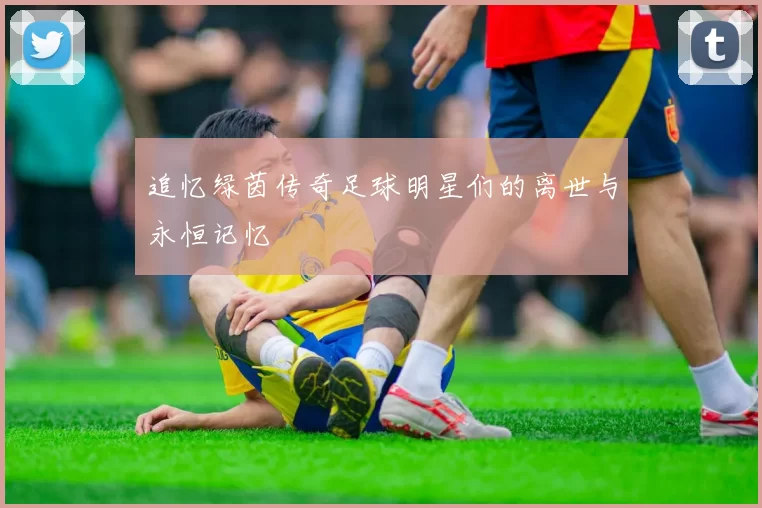 追忆绿茵传奇足球明星们的离世与永恒记忆