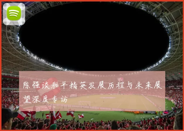 陈强谈和平精英发展历程与未来展望深度专访