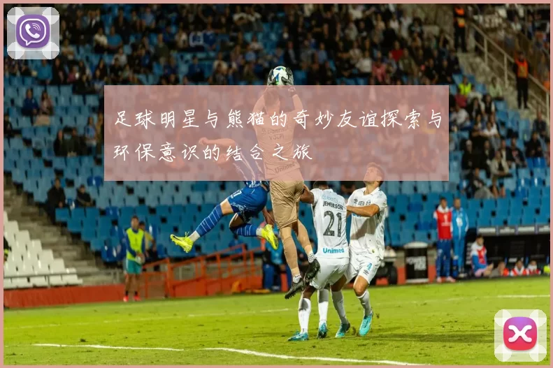 足球明星与熊猫的奇妙友谊探索与环保意识的结合之旅