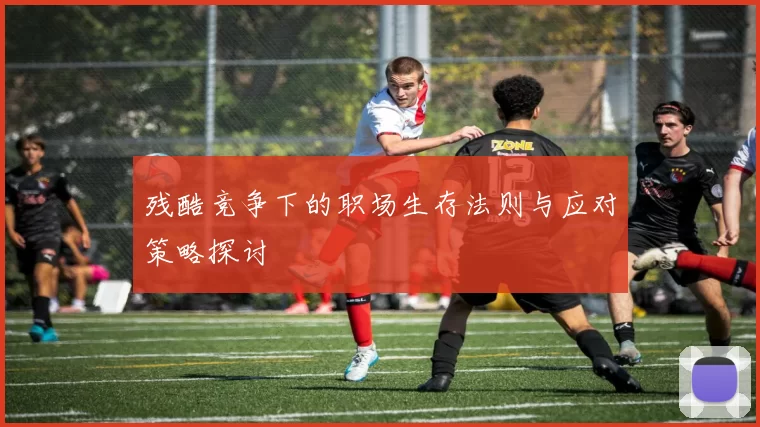 残酷竞争下的职场生存法则与应对策略探讨