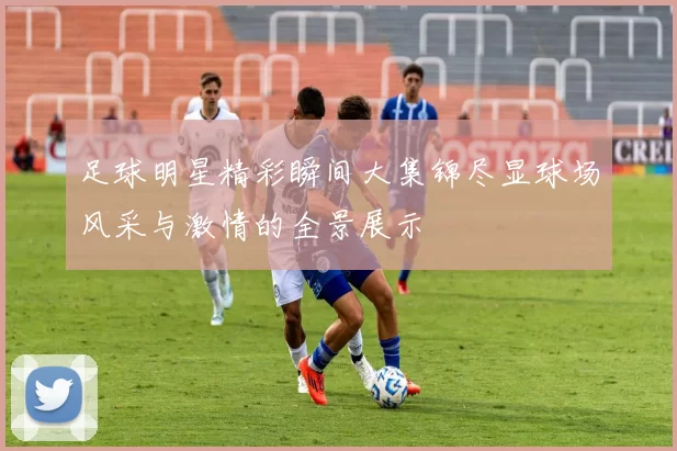 足球明星精彩瞬间大集锦尽显球场风采与激情的全景展示