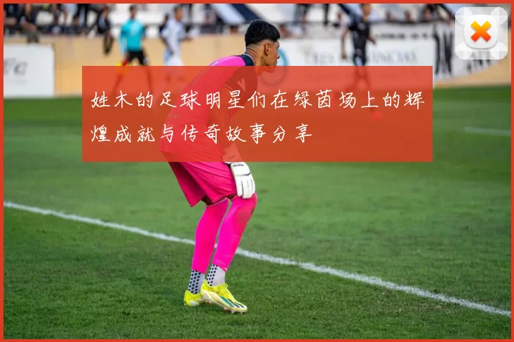 姓木的足球明星们在绿茵场上的辉煌成就与传奇故事分享