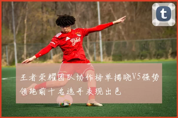 王者荣耀团队协作榜单揭晓V5强势领跑前十名选手表现出色