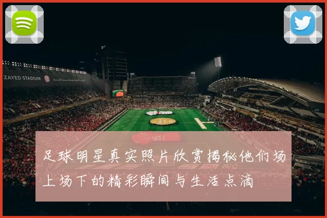 足球明星真实照片欣赏揭秘他们场上场下的精彩瞬间与生活点滴