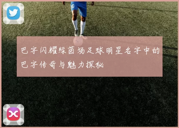 巴字闪耀绿茵场足球明星名字中的巴字传奇与魅力探秘