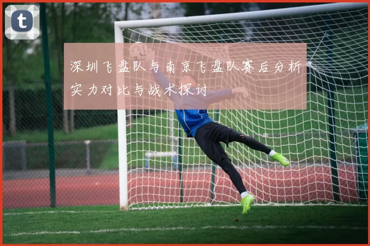 深圳飞盘队与南京飞盘队赛后分析实力对比与战术探讨