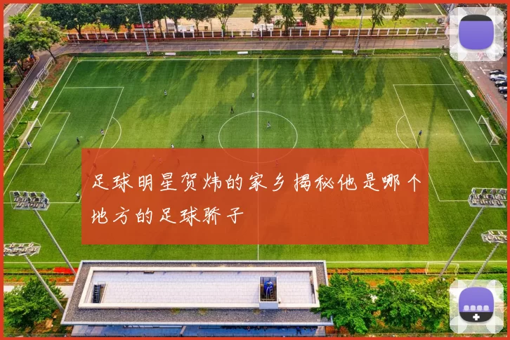 足球明星贺炜的家乡揭秘他是哪个地方的足球骄子