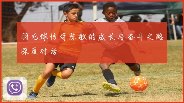 羽毛球传奇陈敏的成长与奋斗之路深度对话