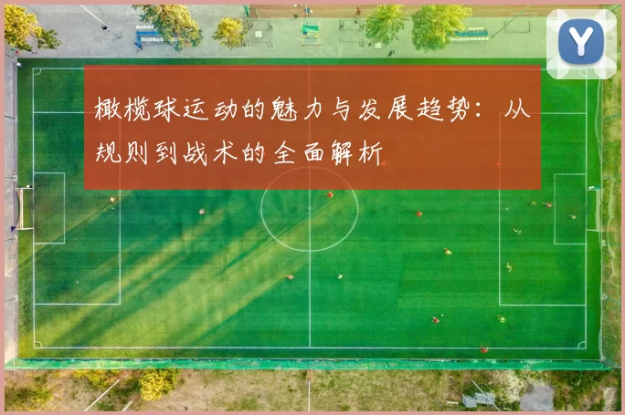 橄榄球运动的魅力与发展趋势：从规则到战术的全面解析