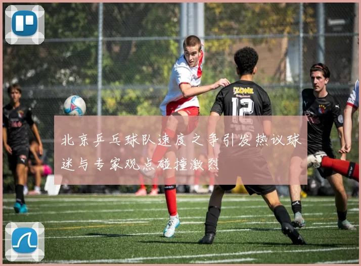 北京乒乓球队速度之争引发热议球迷与专家观点碰撞激烈