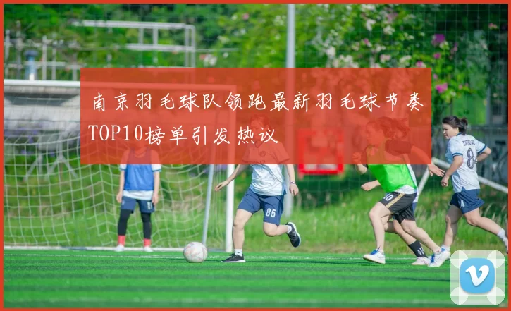 南京羽毛球队领跑最新羽毛球节奏TOP10榜单引发热议