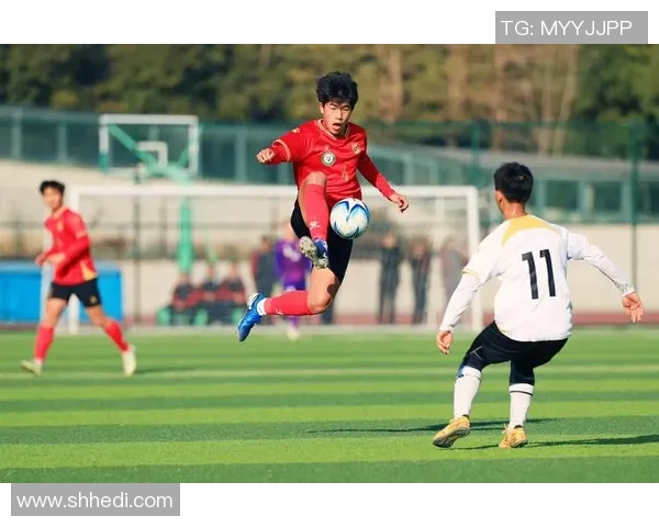 从零起步掌握足球速度技巧全面指南助你在赛场上如虎添翼