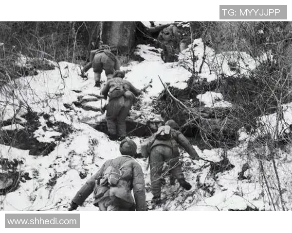 深入分析TES阵地战策略与战术布局的成功之道