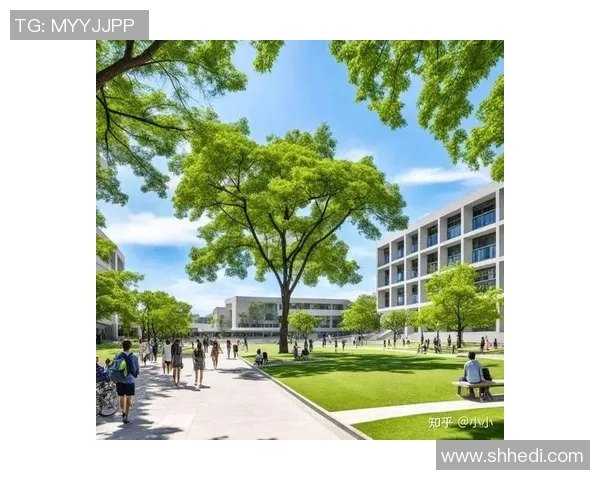 南京排球队中路突破分析：优势与不足的全面探讨