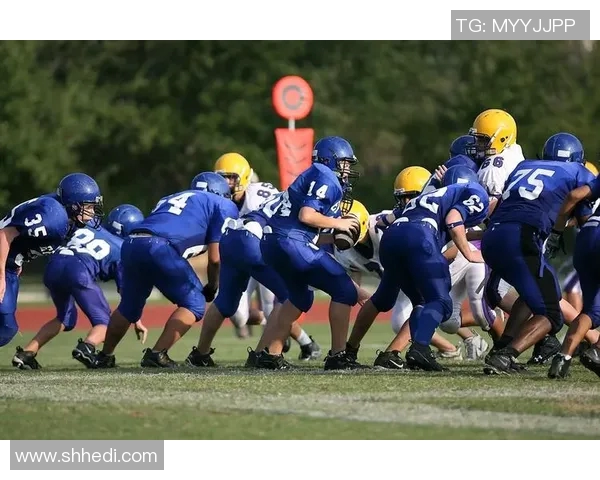 橄榄球运动的起源与发展：从美国校园到全球竞技舞台的演变过程