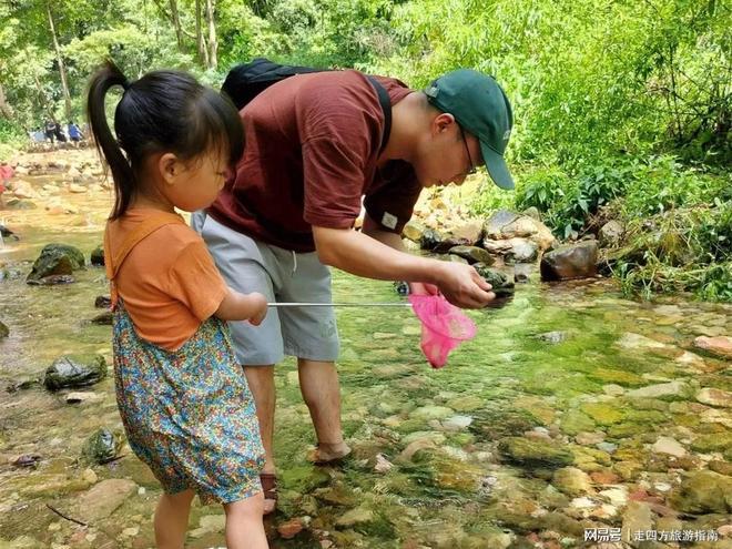 南宫28相信品牌的力量湖南张家界旅游攻略张家界五日游攻略假期省钱费心弄法(图5)